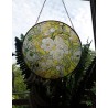 Pivoňky